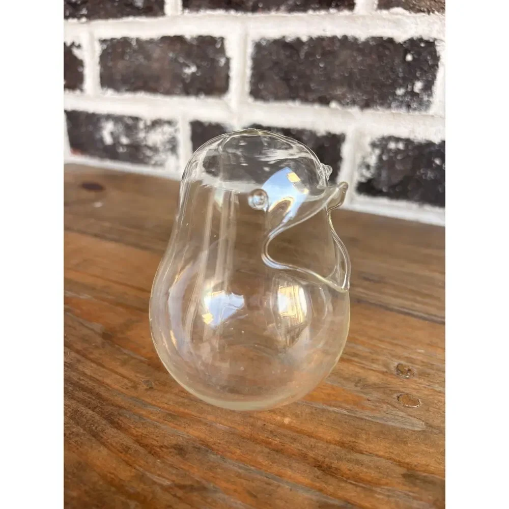 Clear Glass Bird Terrarium Planter 5” Open Body Air Plant Succulent Vase